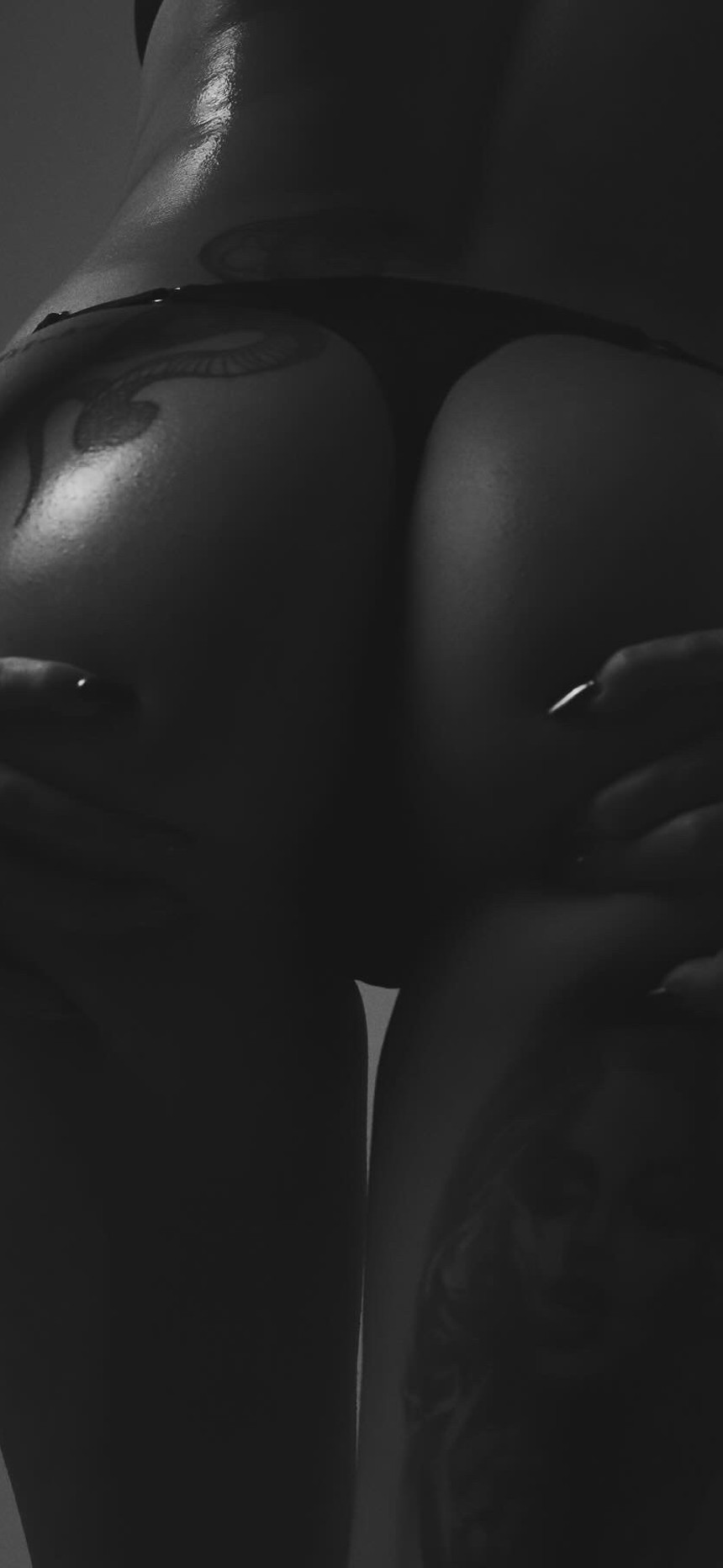 selinenassar